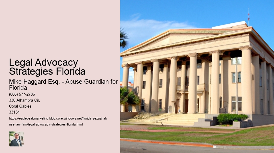 Legal Advocacy Strategies Florida